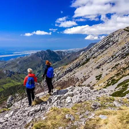 Good Vibes Apartment Seline