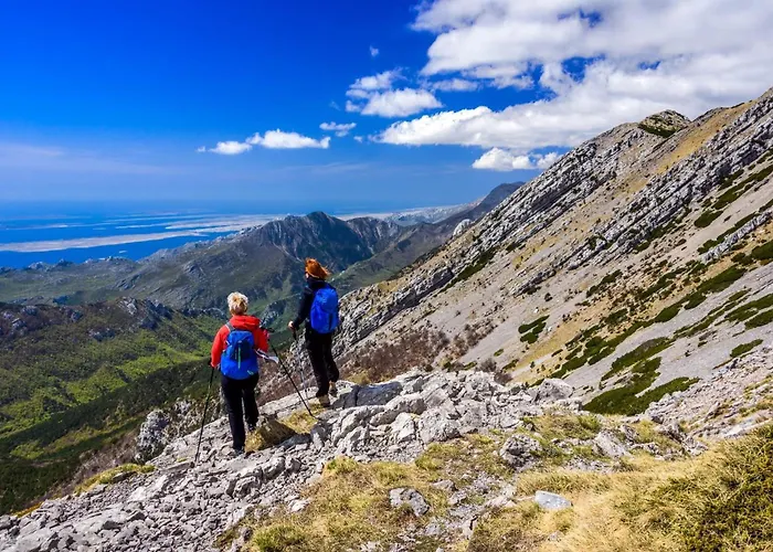 Good Vibes Apartament Seline